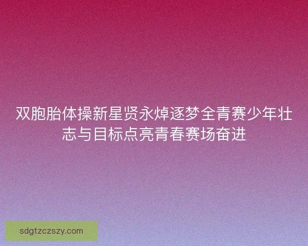 双胞胎体操新星贤永焯逐梦全青赛少年壮志与目标点亮青春赛场奋进