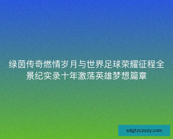 绿茵传奇燃情岁月与世界足球荣耀征程全景纪实录十年激荡英雄梦想篇章