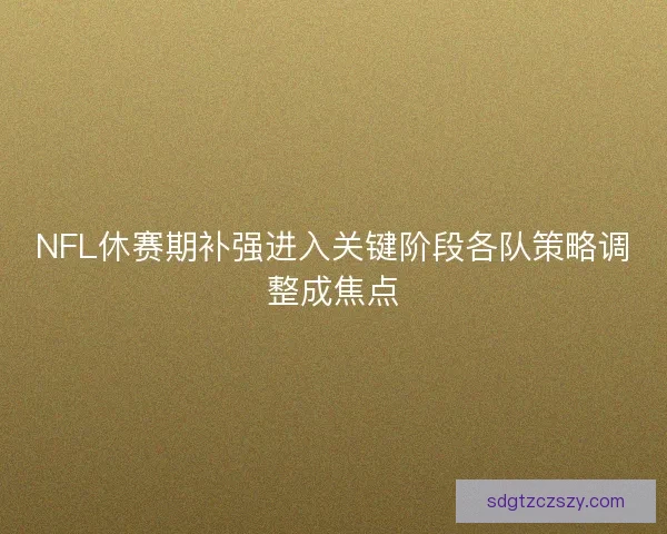 NFL休赛期补强进入关键阶段各队策略调整成焦点