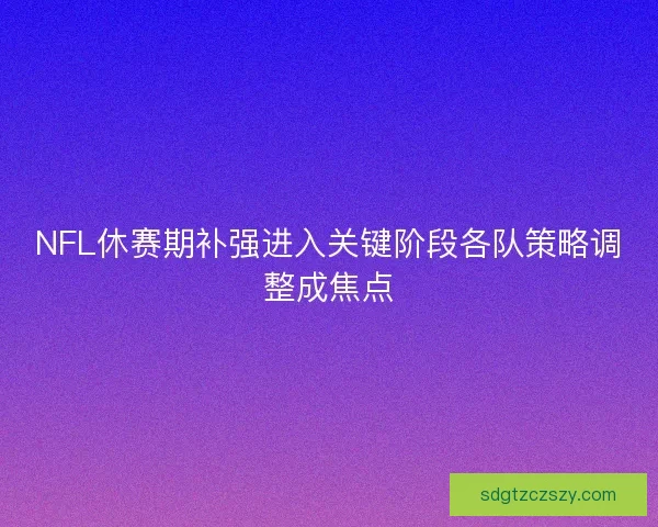 NFL休赛期补强进入关键阶段各队策略调整成焦点