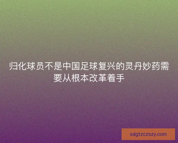 归化球员不是中国足球复兴的灵丹妙药需要从根本改革着手