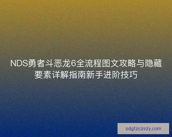 NDS勇者斗恶龙6全流程图文攻略与隐藏要素详解指南新手进阶技巧